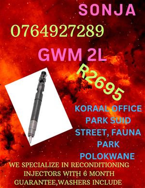 GWM 2L DIESEL INJECTORS FOR SALE OR RECON 