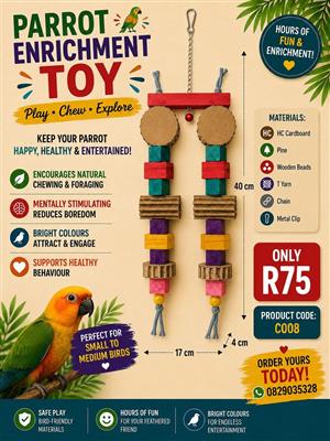 Parrot toys