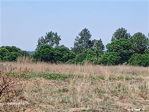 Massive Stand 3587 m² for Sale in Vaalpark