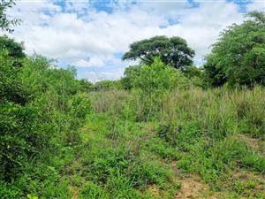 Well-Located, Riverfront Stand in Moditlo Wildlife Estate