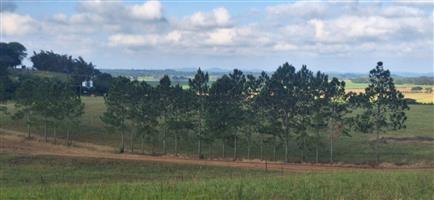 Farm For Sale in Monzi SH