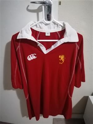 Lions rugby jersey 