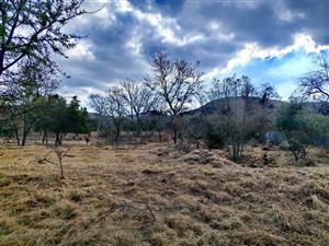 Build Your Dream Home in Tranquil Eco-Estate!