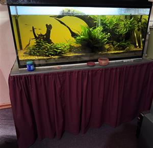 Fish tank