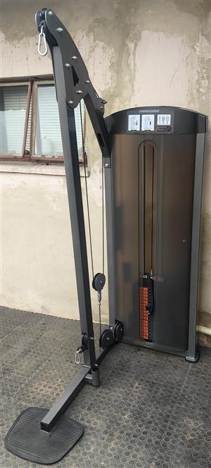 IMPULSE BICEP/TRICEPS – 90KG.