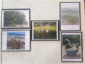 PHOTOGRAPHIC PRINTS FOR SALE 