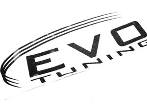 Evo Tuning Vinyl Sticker (35x15cm)