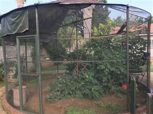 Bird Avery or bird cage