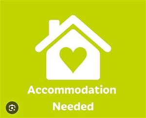 ACCOMODATION-WANTED-BELLVILLE 