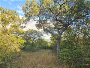 Vacant Land in MODITLO NATURE RESERVE.