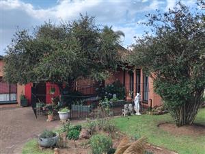 3-Bedroom, 2-Bathroom Home for Sale in Kanonkop with bachelor flat!