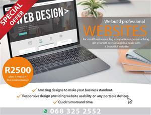 Professional Web Design (from R2,500) Special !!