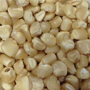 White maize