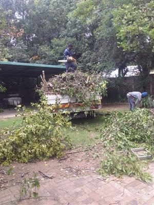 Tree Felling and Refuse Removal
