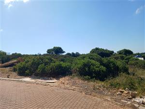 Prime Vacant Stand with River Views in Stilbaai Wes