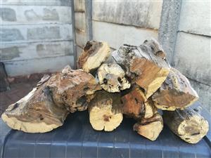 Dry Braai and firewood for sale in Centurion 