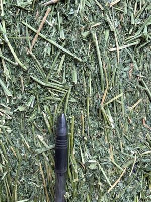 PREMIUM LUCERNE HAY & HAY CUBES