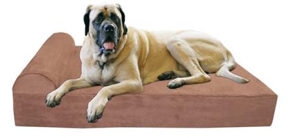 Orthopedic (Medical grade) Beds for Dogs (Imported)