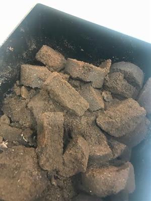 Coffee grounds for gardening 