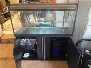 Boyu fish tank with stand and filter 