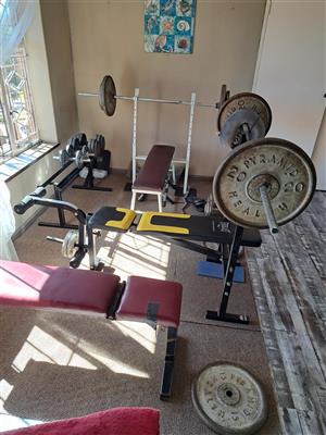 Gold's gym xr5 bench hot sale