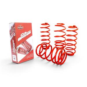 StyleQuip Suspension Lowering Kit for VW Polo Vivo 6R (40mm)
