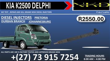 Diesel Injectors Kia K2500 Delphi 