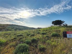 Seaton Estate: Exclusive Coastal Living on the KZN North Coast