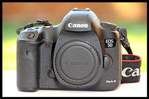 Canon EOS 5D Mark III - Body Only
