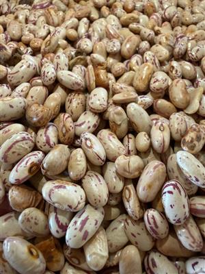 Sugar-beans