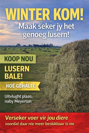 Square Lusern Bales for sale