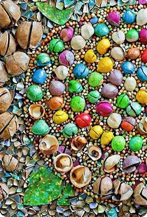Macadamia Nut Shells