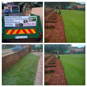  fresh instant lawn