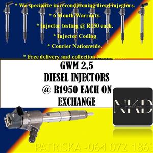2,5 GWM INJECTORS FOR SALE 