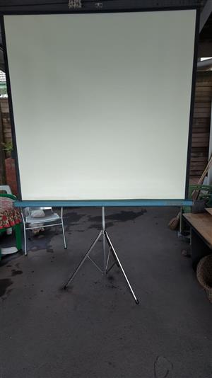 Projector Screen on Stand  - Large 