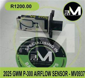 AIRFLOW SENSOR GWM P-300