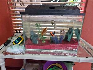30 lt fish tank almost new with all accessories. 