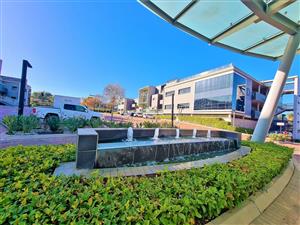 794m² Ground Floor Office to Let in Infinity Business Park