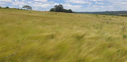 Farm For Sale in White River AH