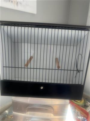 New Goulding finch show cages