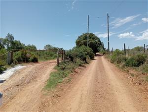 Seize the opportunity to own your piece of paradise! – 55.8645 Hectares of Untapped Potential