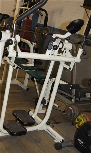 Fitness Flyer Exercise Machine Sj Rosettenvillepawnshop Junk Mail