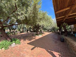 Farm For Sale in Schoongezicht