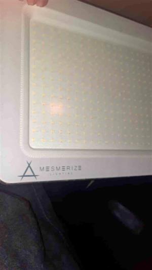 3×Mesmerize Lighting LED Floodlights for sale