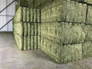 Lucerne Hay – Farm Quality