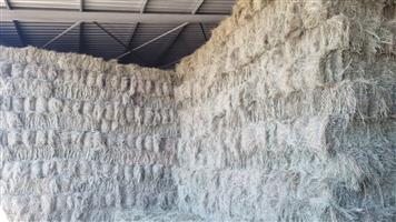 Eragrostis Small bales For Sale.