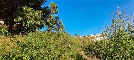 Elevated Stand - In Local Lane