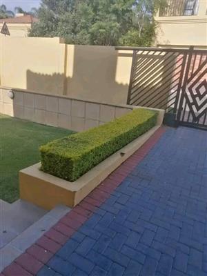 Landscaping, garden maintenance and services