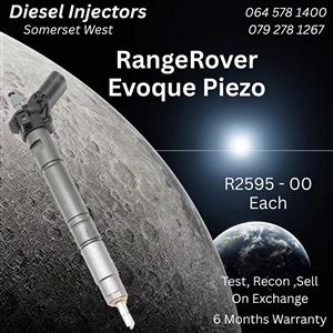 Evoque diesel injectors