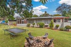 Corner Stand with Space, Style & A Splash of Something Extra